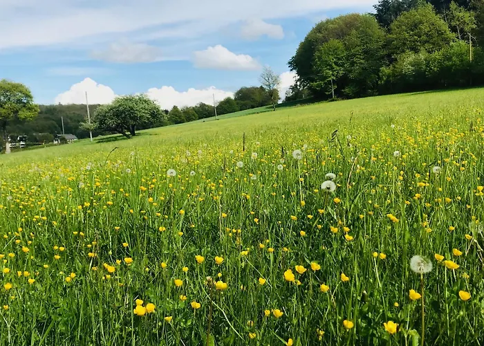 Fewo_ortszeit Appartement